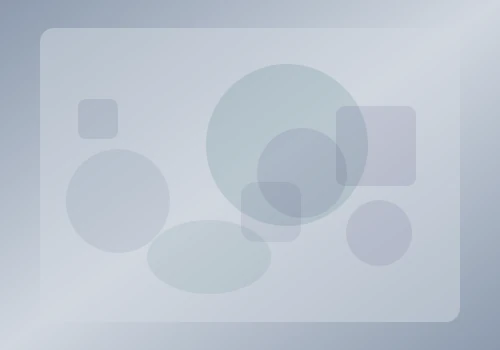 총판 시장 분석 차트 - 월간 공고 수, 플랫폼 검증률, 평균 수익 통계